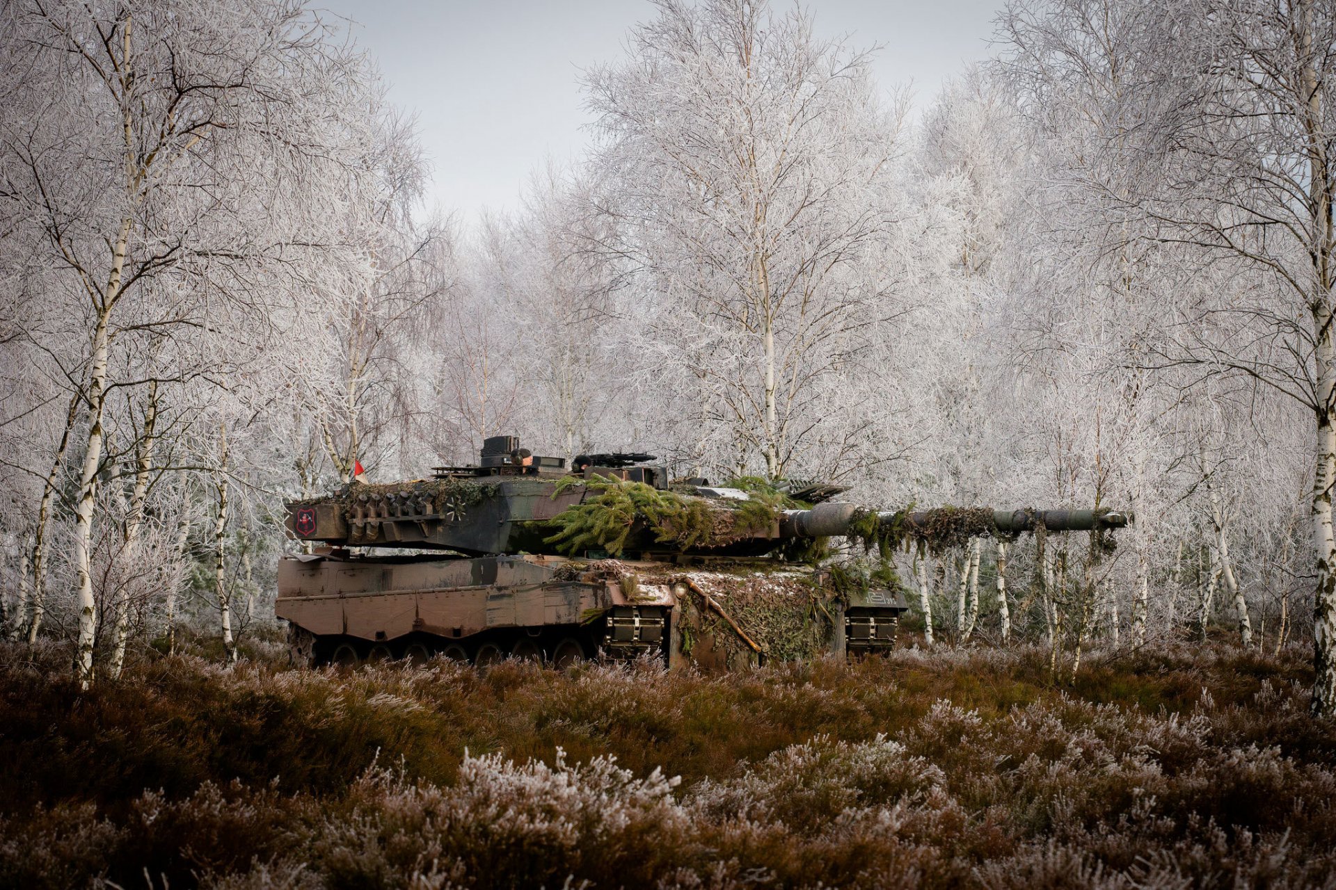 leopardo 2a6m battaglia serbatoio alberi erba foresta