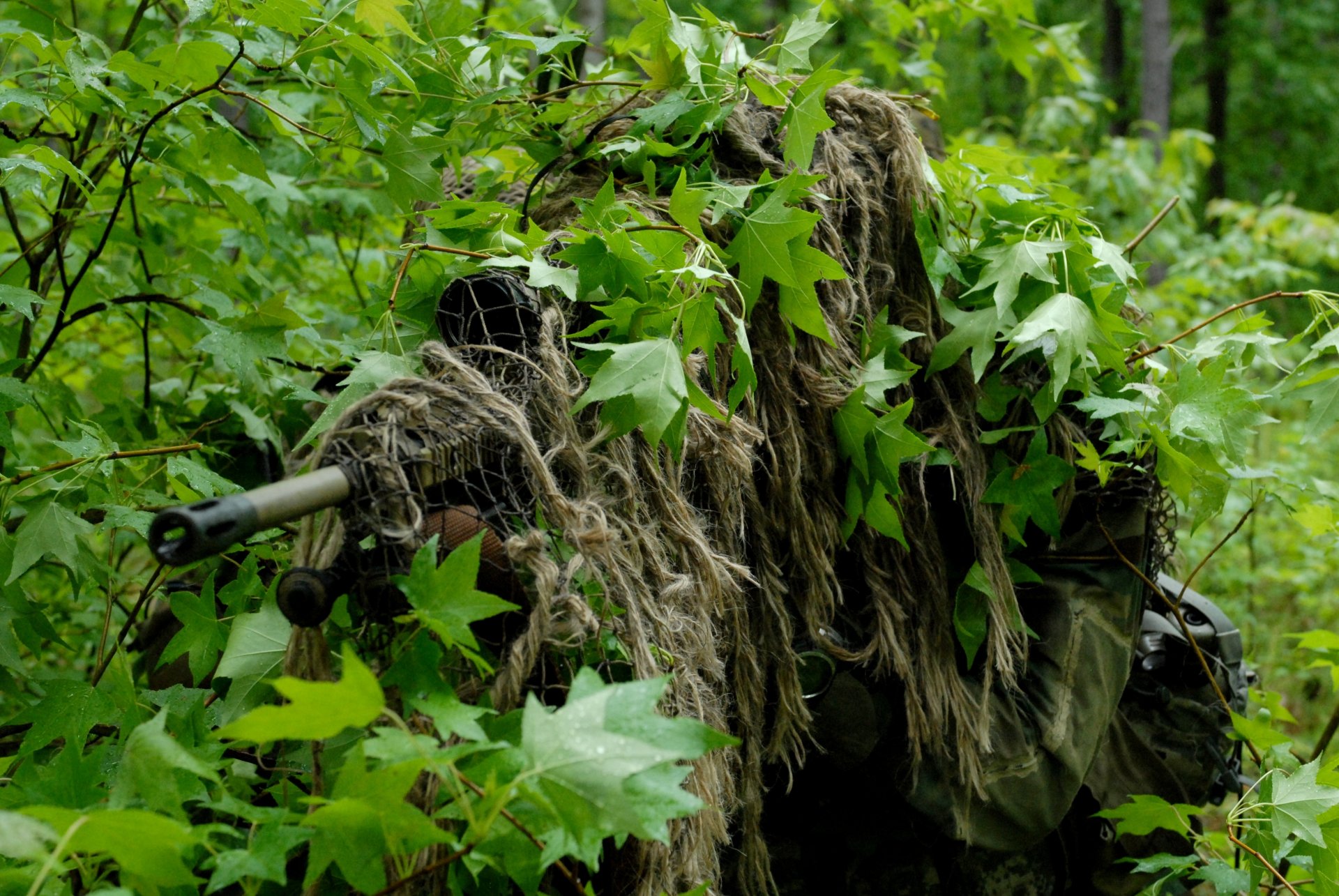 forêt buissons feuillage sniper arme vue abri déguisement