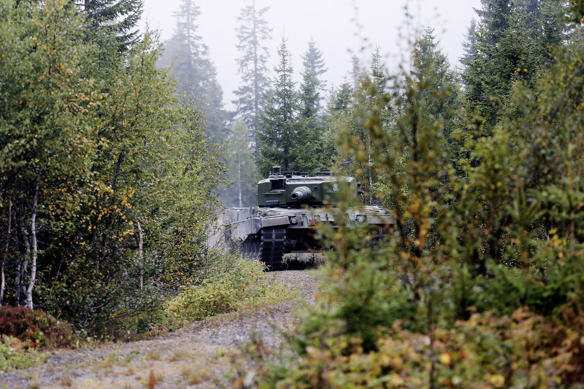 leopard-2 a4 czołg pancerny las