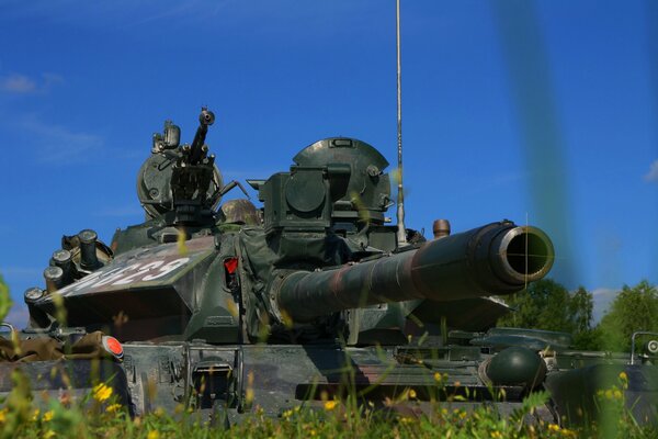 Armored vehicles under a clear blue sky in the field