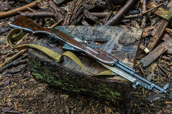 Armes, carabine à chargement automatique, Simonova SCS, 1954