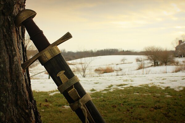 A sword with a beautiful handle by a tree against the background of nature