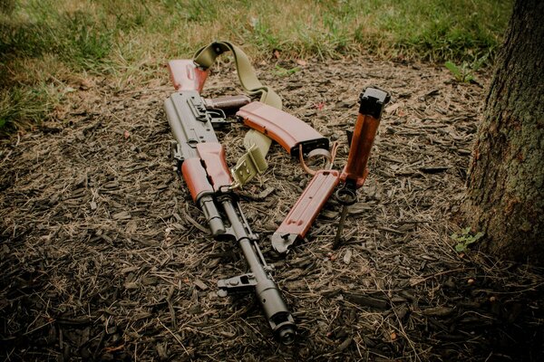 Kalaschnikow-Sturmgewehr und ein Stück auf dem Boden im Wald