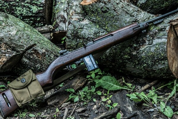 A self-loading carbine is lying on a fallen tree