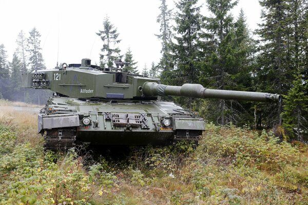 Foto von einem Kampfpanzer im Wald