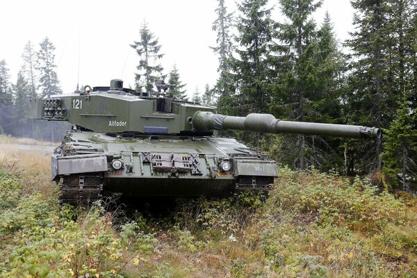 Foto di un carro armato nella foresta