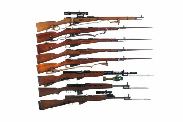 A set of rifle models on a white background