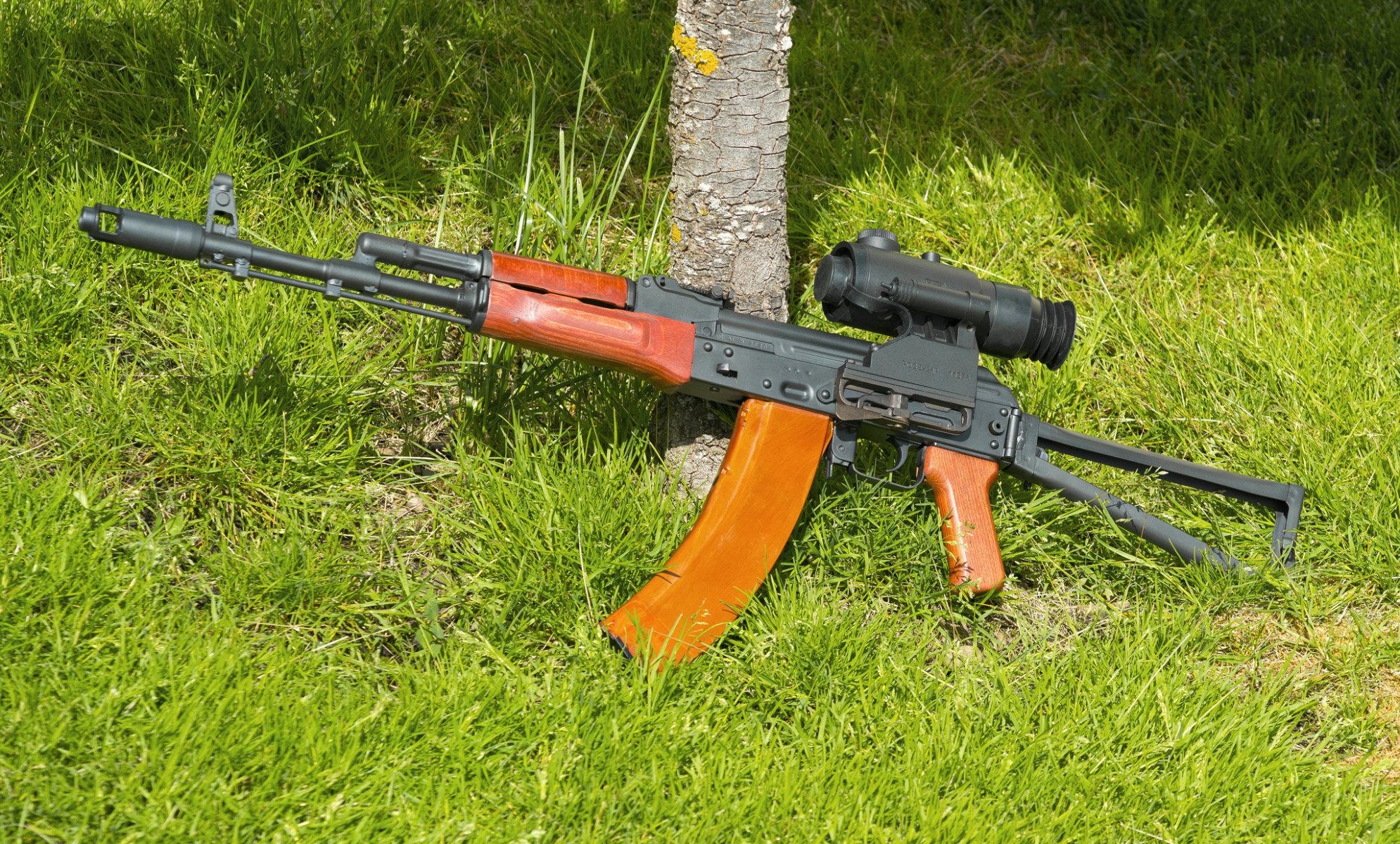 ax-74 fucile d assalto kalashnikov mirino erba