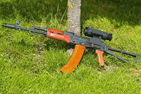 Kalashnikov en la hierba verde