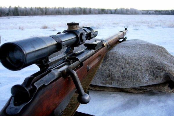 Rifle en la bolsa apuntando a la distancia