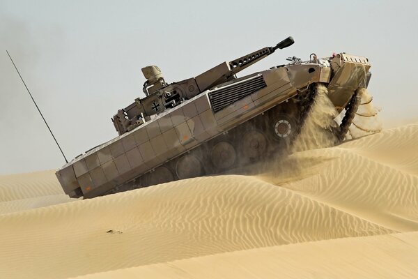 Deutsch bmp cougar reitet auf sand