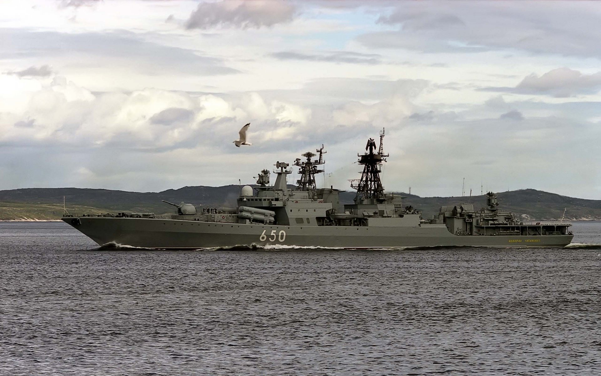 marine navire grand anti-sous-marine amiral chabanenko dans mer mouette ciel