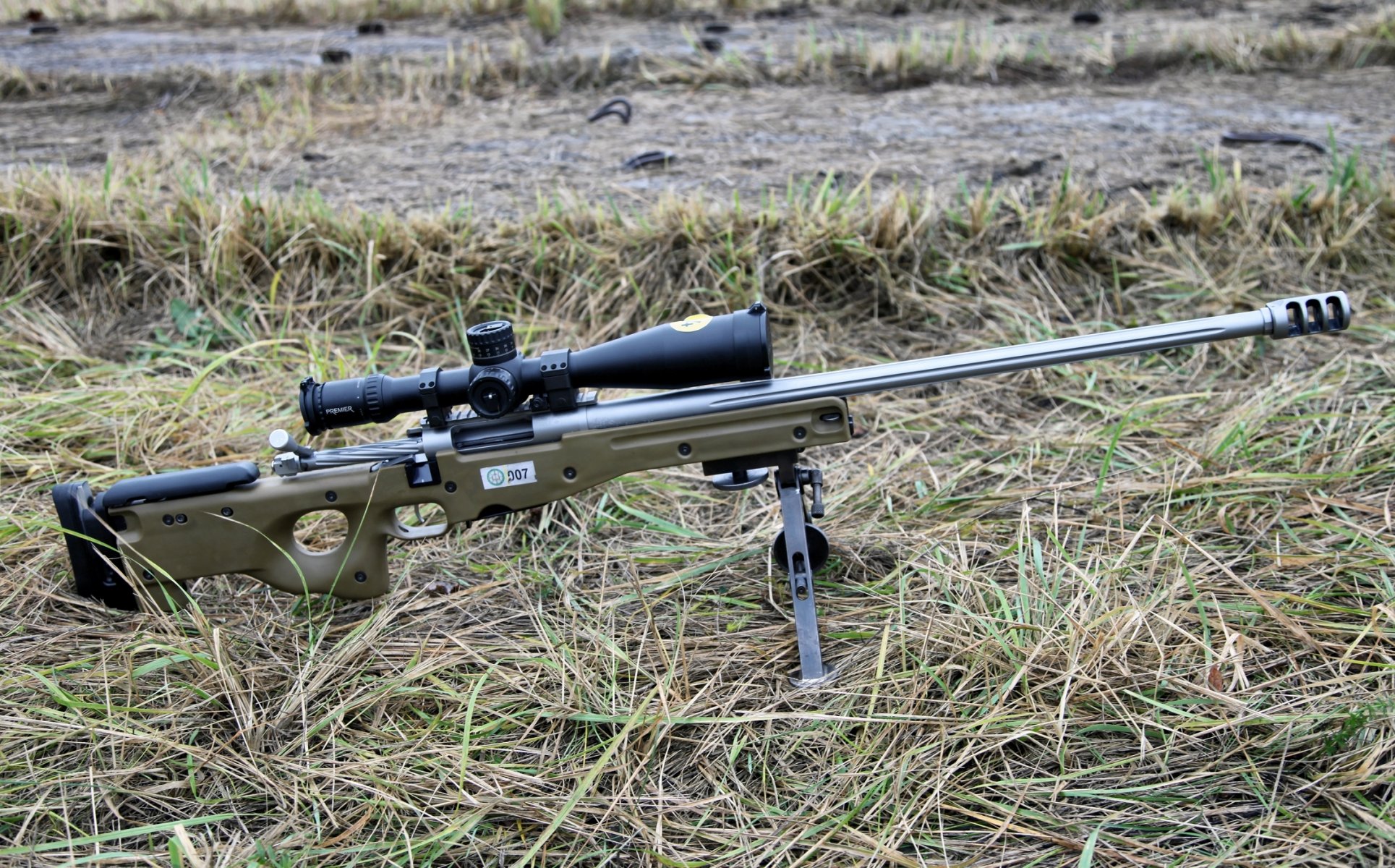 ako trg 22 fusil de sniper optique herbe