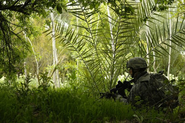 A soldier with a machine gun is hiding in the woods