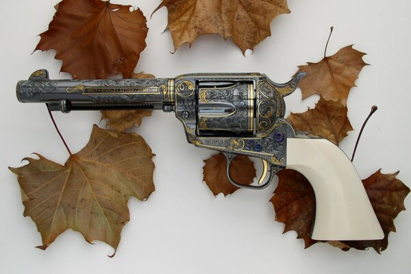 Revolver avec des motifs et des feuilles séchées