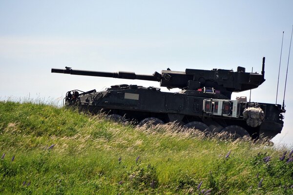 Tank auf dem Feld mit einer großen Pistole