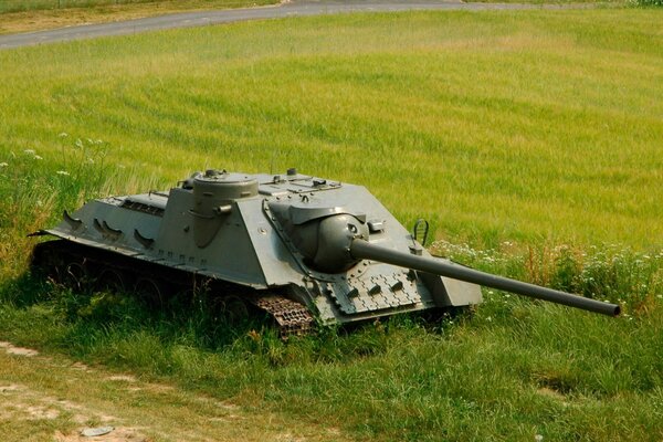 Artiglieria semovente sullo sfondo di un campo smussato