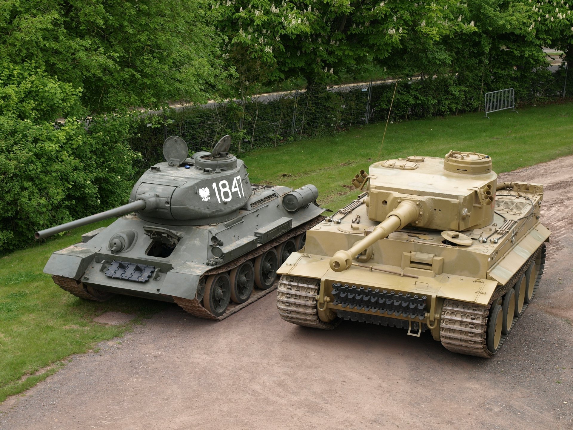 military equipment tanks t-34 tiger fence tree