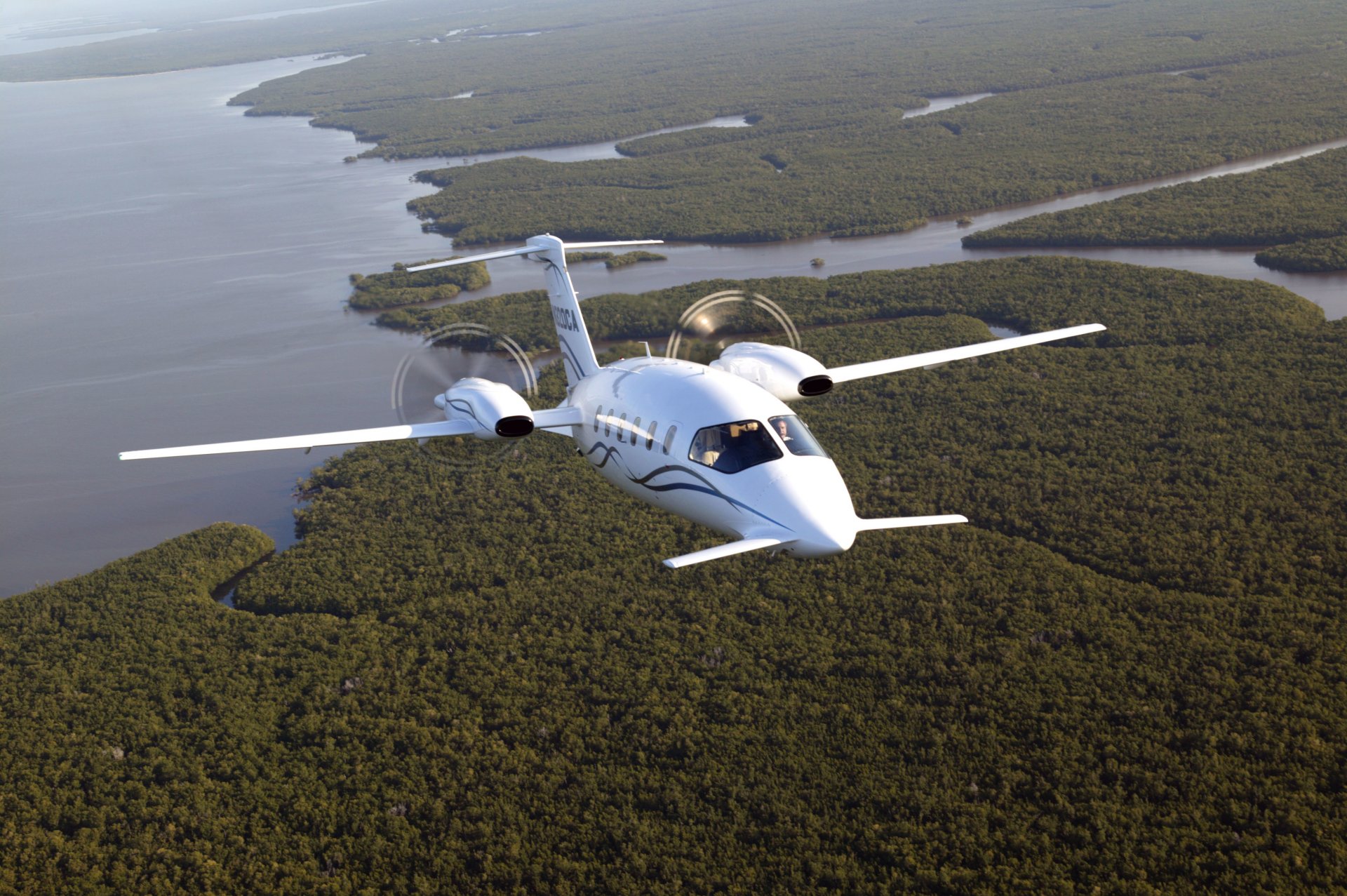 green concept plane height forest land