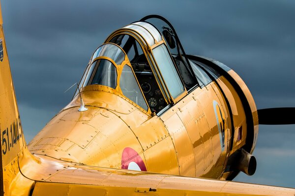 Ein schöner Mann wartet auf den Piloten