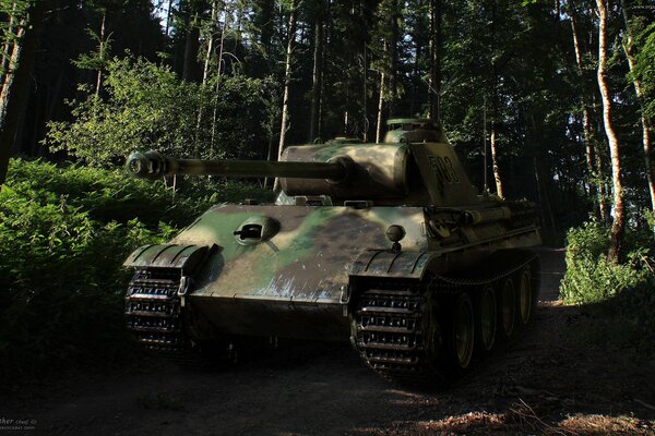 Tank grün, Panther im Wald