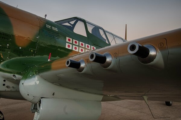 Caza Warhawk p-40 en el Suelo sobre un fondo gris