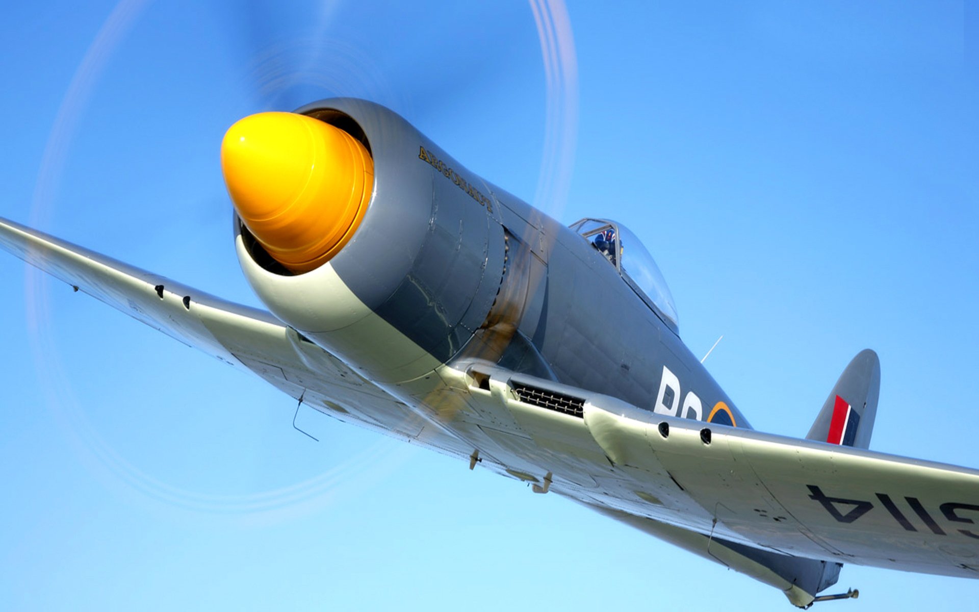 hawker sea fury plane fighter propeller