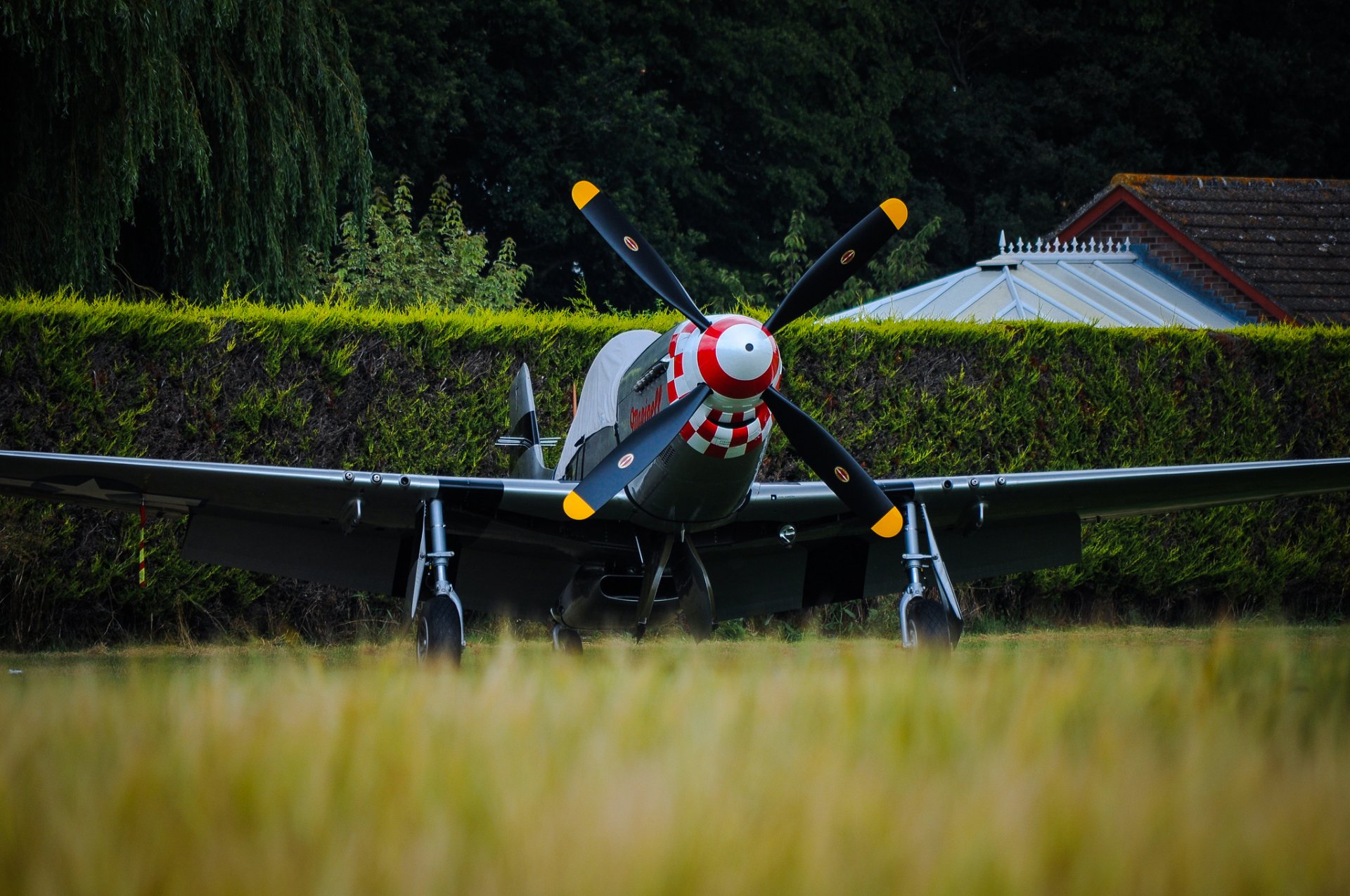 p-51d mustang single fighter screw