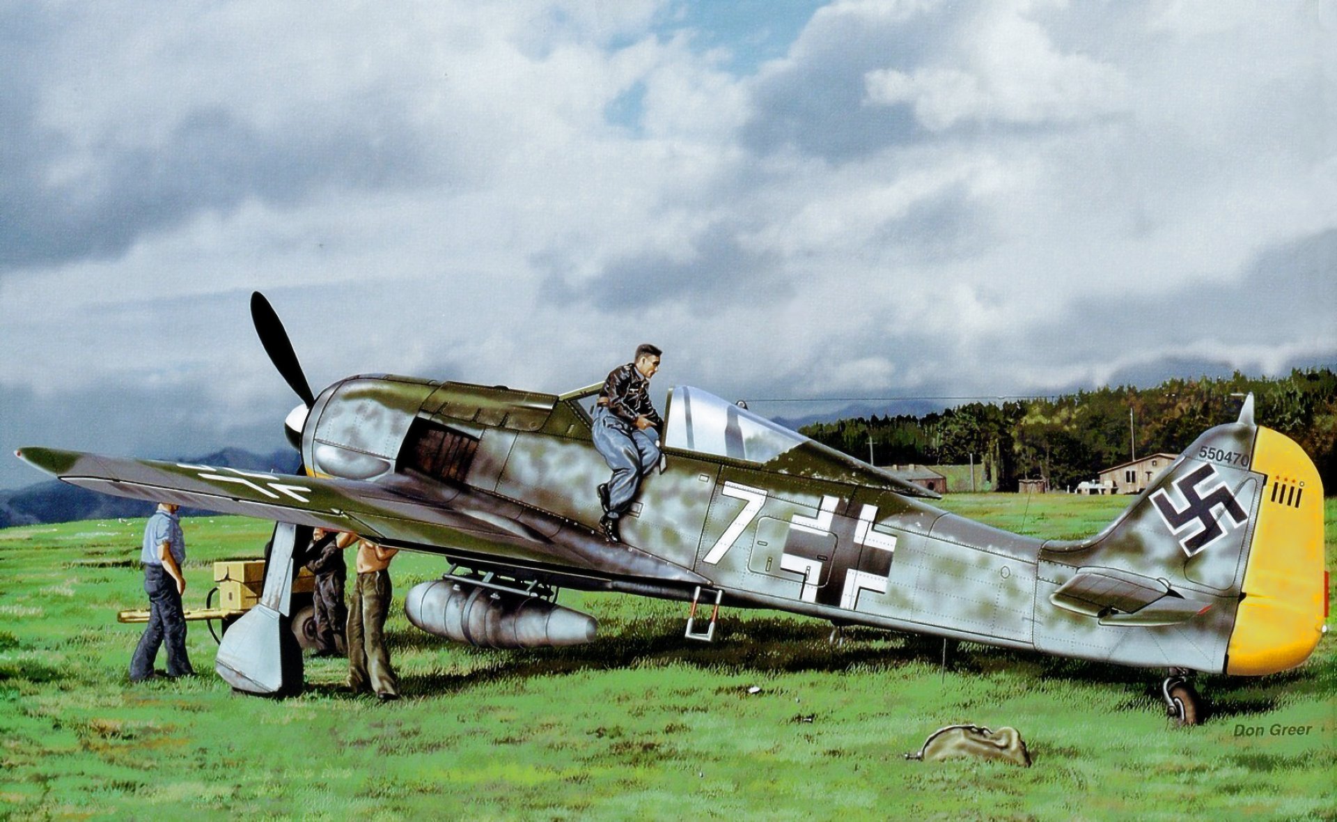 fw 190 ww2 guerra arte pittura combattente tedesco don greer