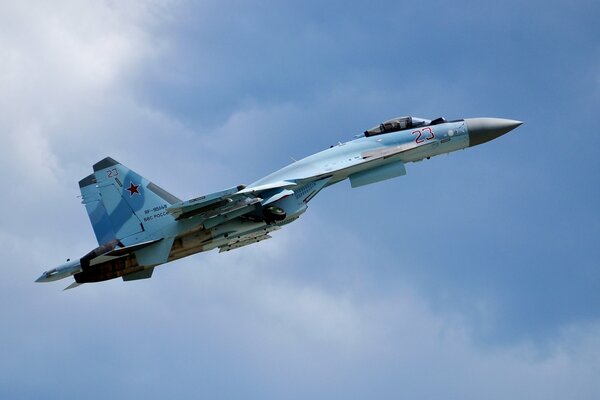 Avion de chasse vole dans le ciel