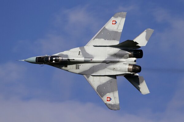 Chasseur polyvalent sur fond de ciel bleu