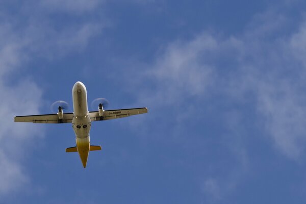 A big plane is flying through the blue sky