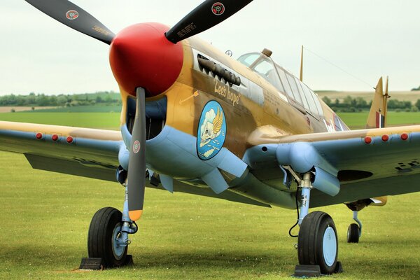 Warhawk fighter jet at the airfield for background