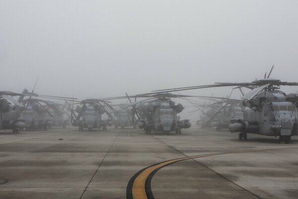 Nebliger Morgen auf dem Militärflugplatz