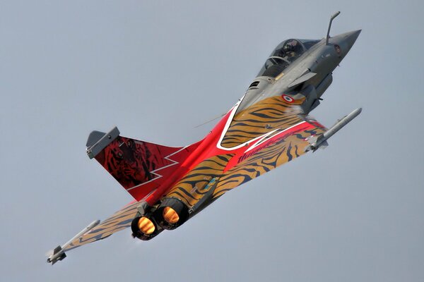 multipurpose fighter rafale performs a maneuver in the sky
