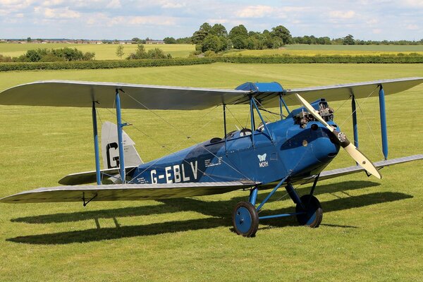 Blaues Doppelflugzeug auf dem Rasen