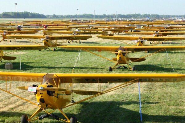 Auf einer Feldebene stehen Flugzeuge in einer Reihe