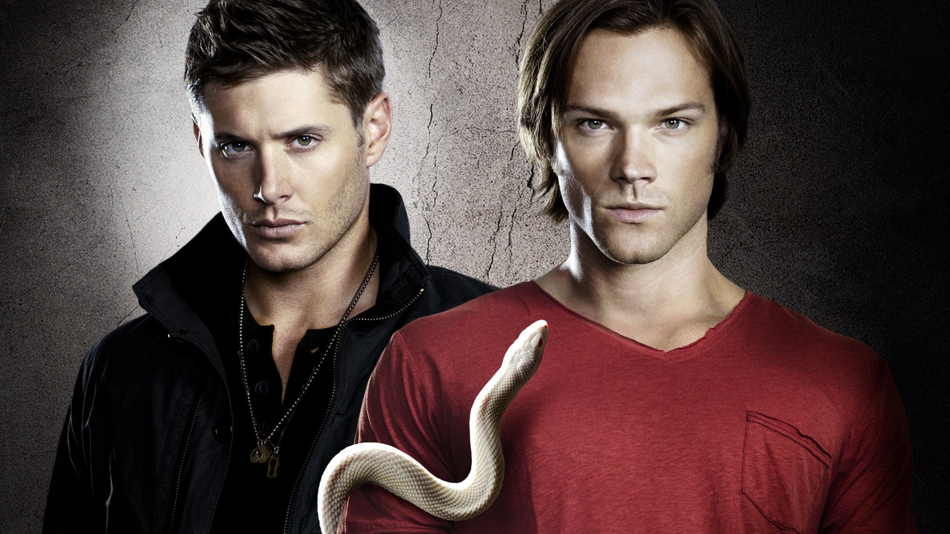 surnaturel dean sam winchester frères série tv serpent jensen eccles jared padalecki j2