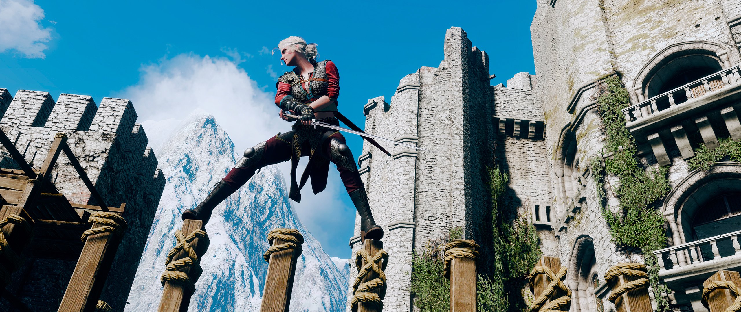 the witcher 3: chasse sauvage the witcher ciri