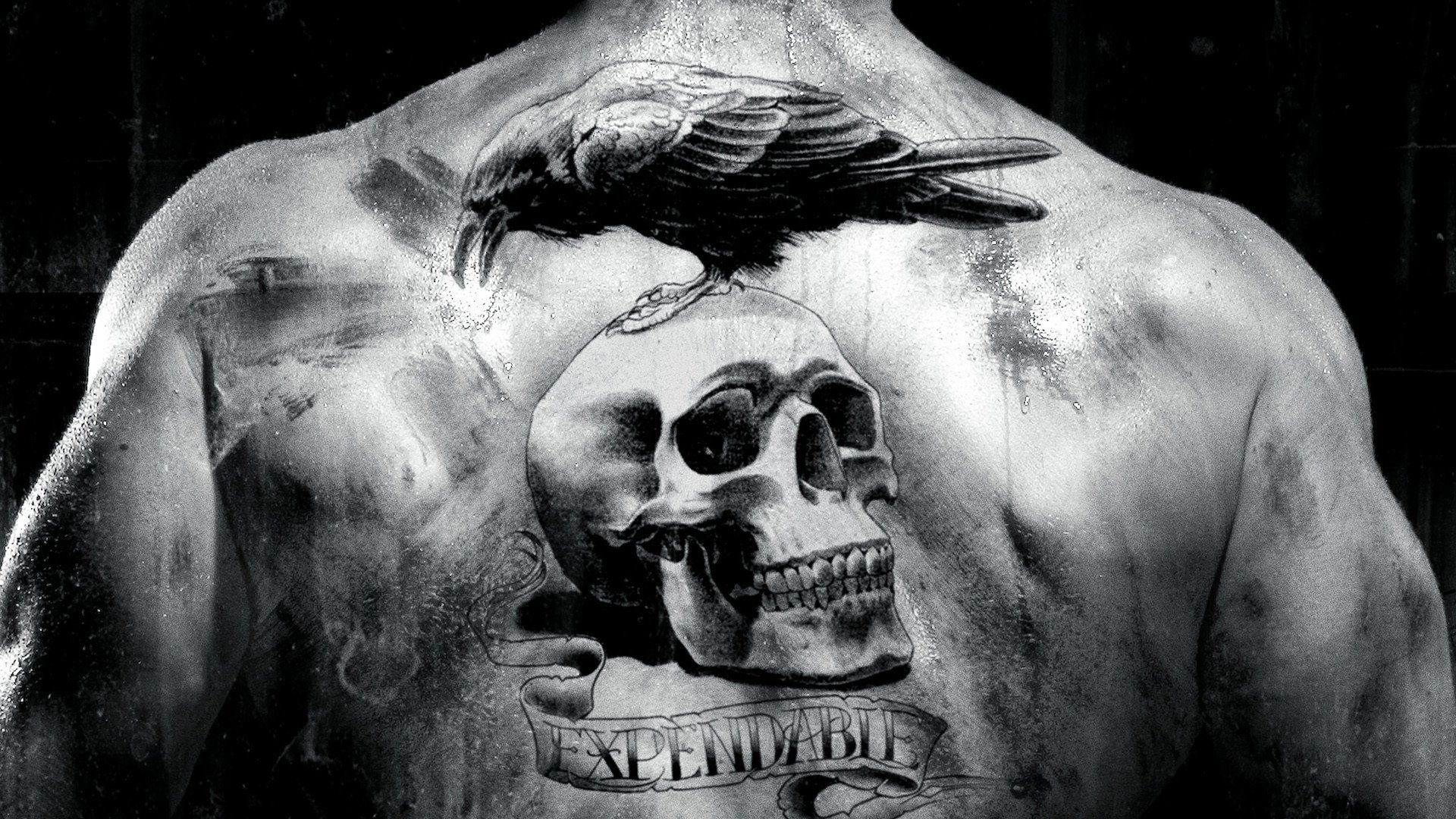 the expendables película cuervo cráneo espalda tatuaje blanco y negro