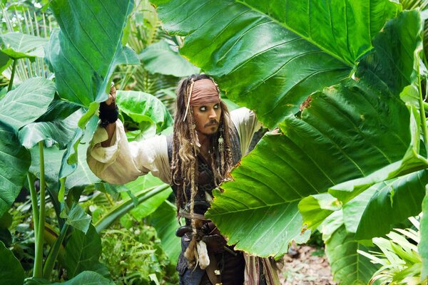 Extrait de pirates des Caraïbes dans la jungle