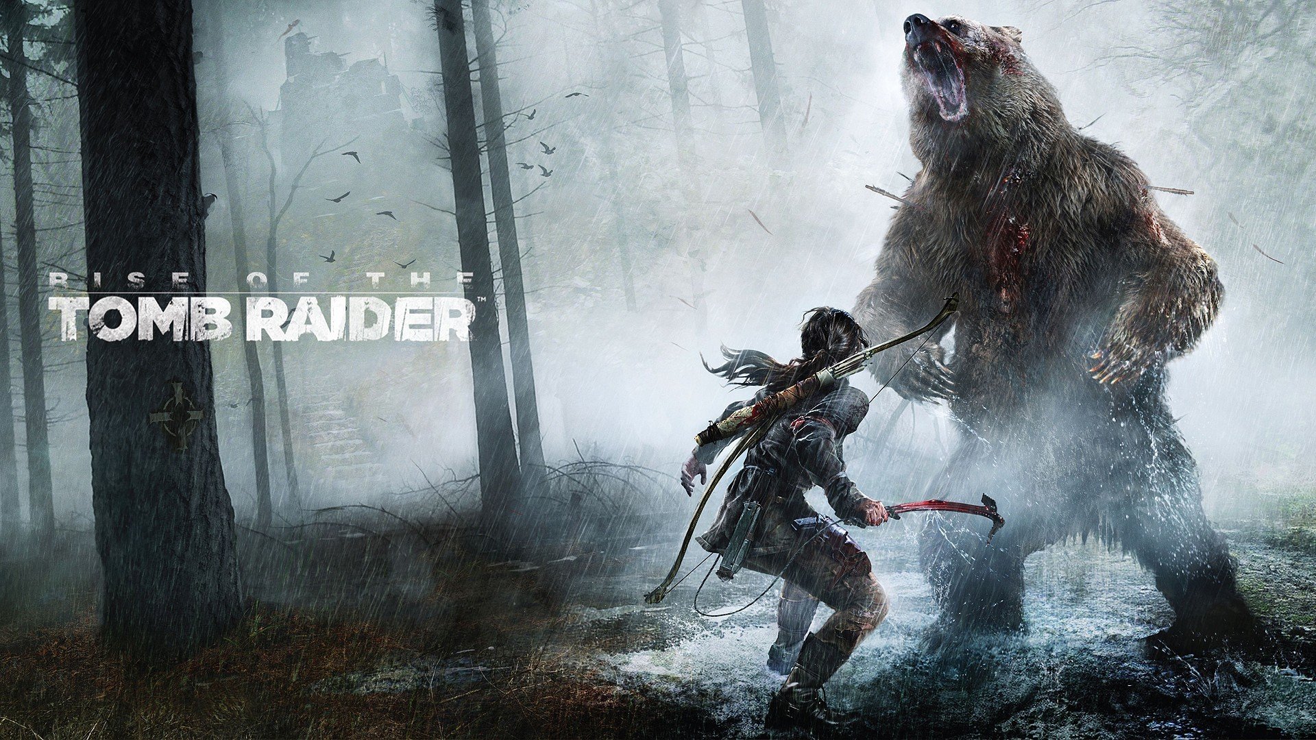 elevación: tomb raider lara croft chica arco árboles piolet oso bosque lluvia