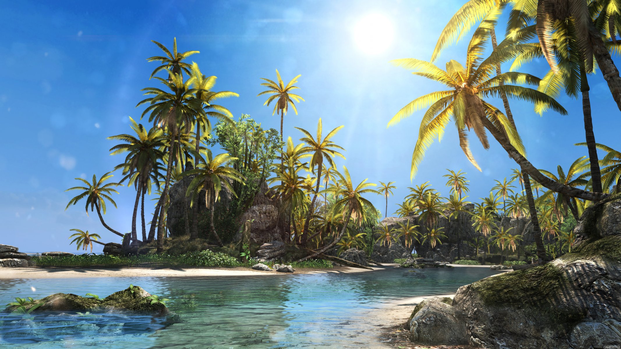 assassin s creed iv black flag island beach sun palm