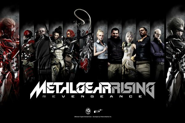 Metal Gear rising revengeance Fan Art alle Charaktere