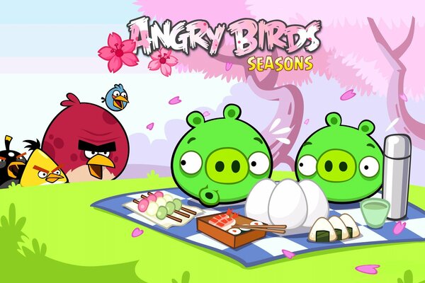 Angry birds seasons- Pig picnic and angry birds