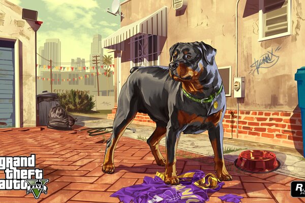 The dog chop of the main character Franklin from the game GTA five art