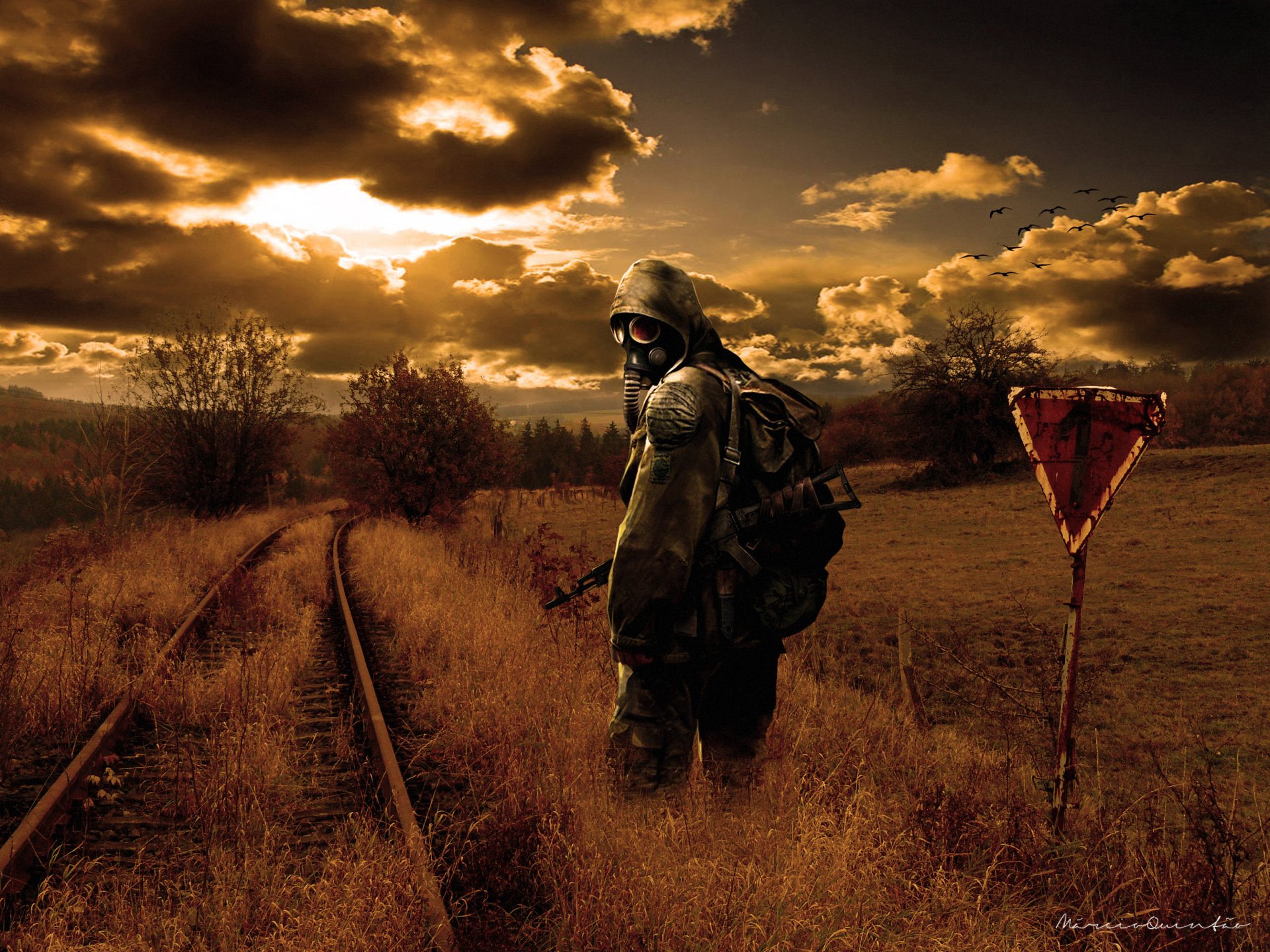 stalker natura zachód słońca słońce wieczór stalker