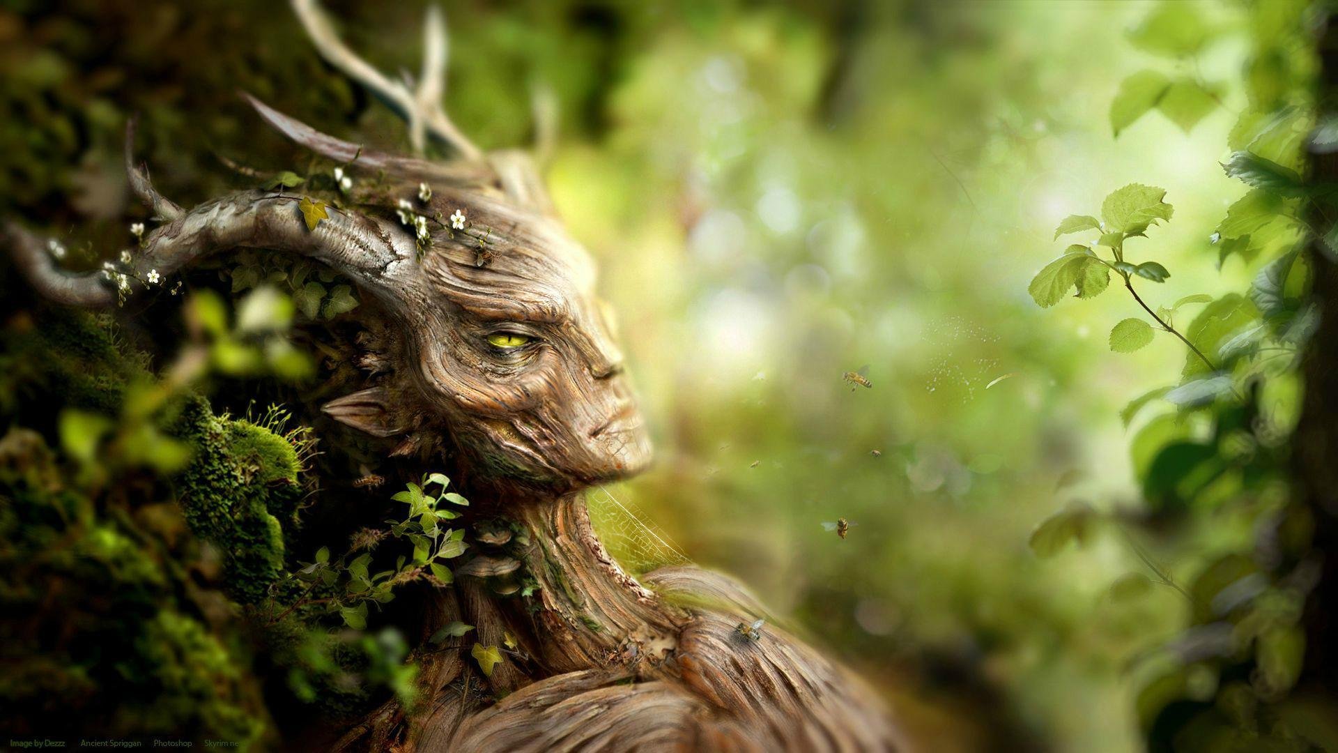 the elder scrolls skyrim лес существо пчелы кора мох растения цветы спригган
