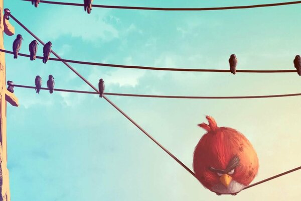 Angry red birds are sitting on the wire