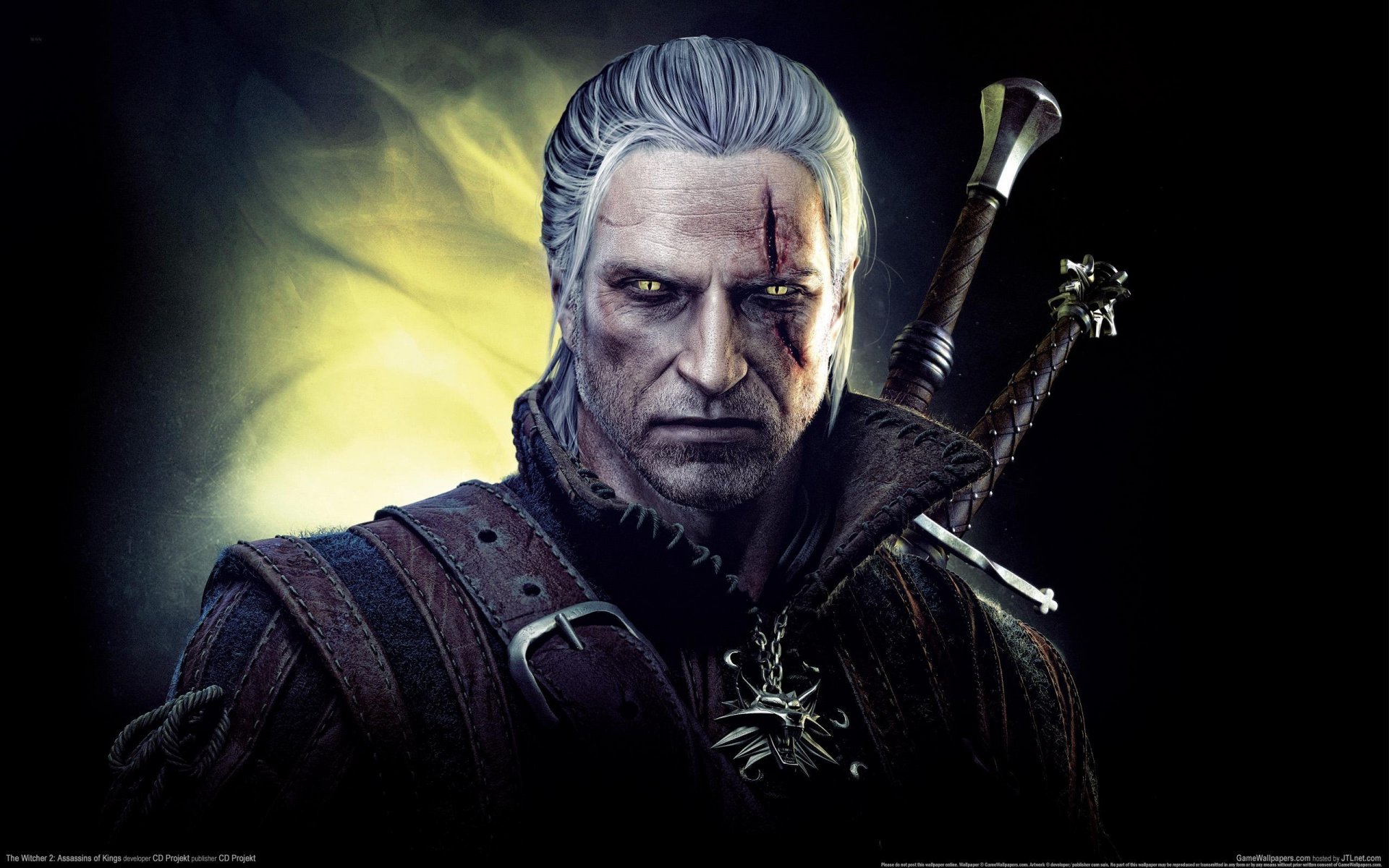 the witcher 2 убийцы королей ведьмак взгляд